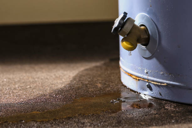 Best 24-hour water damage restoration  in Penitas, TX