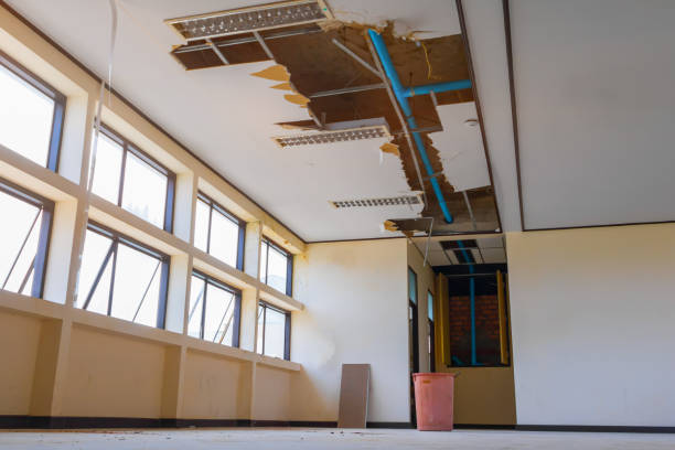 Water damage restoration mold remediation in Penitas, TX