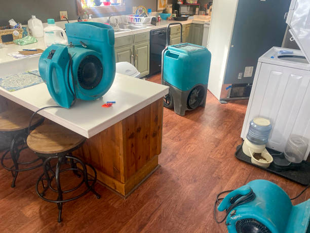 Best Emergency water damage restoration  in Penitas, TX