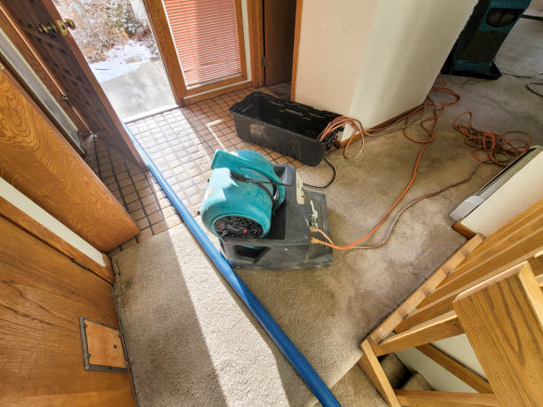 Best Residential water damage restoration  in Penitas, TX
