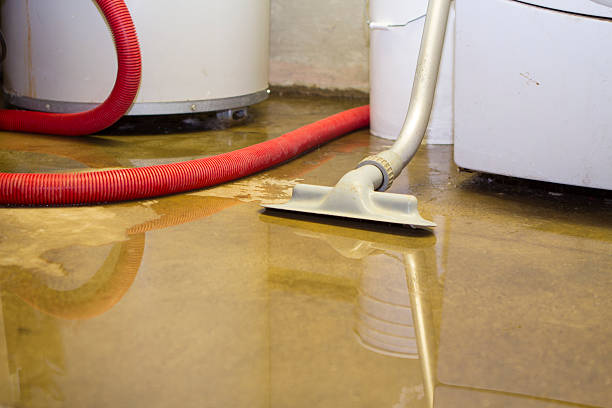 Best Water damage restoration near me  in Penitas, TX