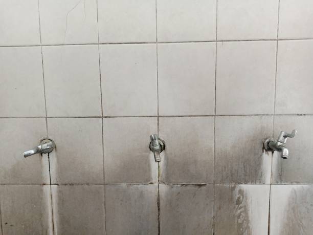 Best Fire Damage Restoration  in Penitas, TX