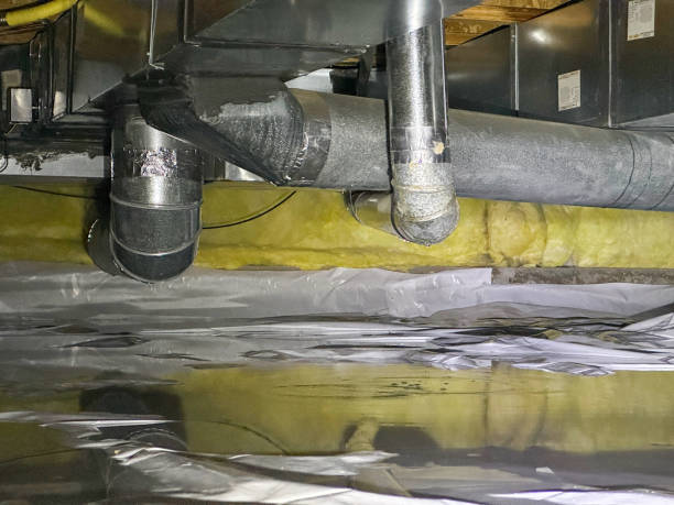 Best 24/7 water damage repair  in Penitas, TX