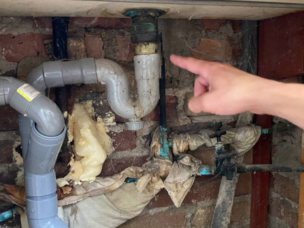 Best Professional water damage repair  in Penitas, TX