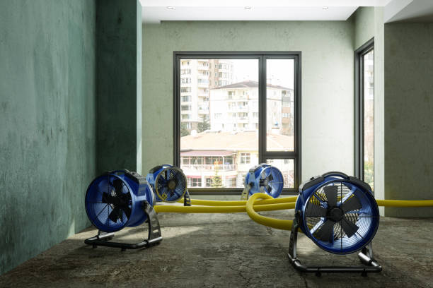 Best 24-hour water damage restoration  in Penitas, TX